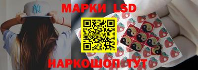 СК Кингисепп