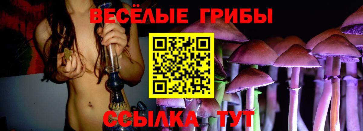 Бирск  Галлюциногенные грибы GOLDEN TEACHER  Вход с VPN 